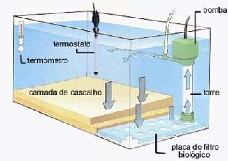 Instalação de motobomba submersa
