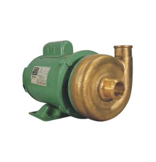 Motobomba Centrífuga Monoestágio Thebe BH-12 Motobomba Centrífuga Monoestágio Thebe BH-12