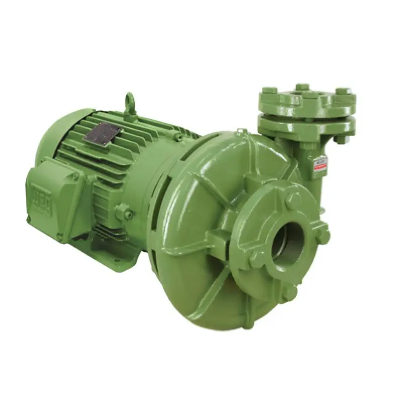 Imagem Ilustrando Paulistana Bombas