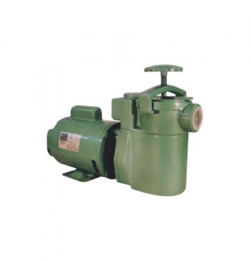 Motobomba Centrífuga Monoestágio Thebe FR-12 Motobomba Centrífuga Monoestágio Thebe FR-12